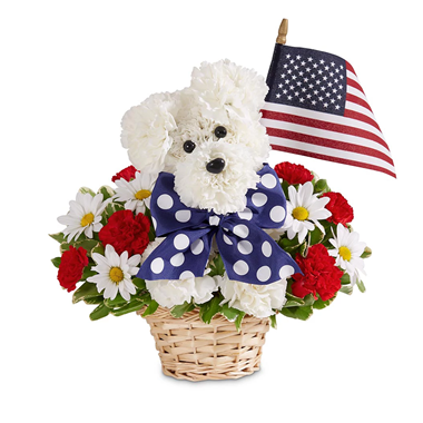 Yankee Doodle Doggie&trade;